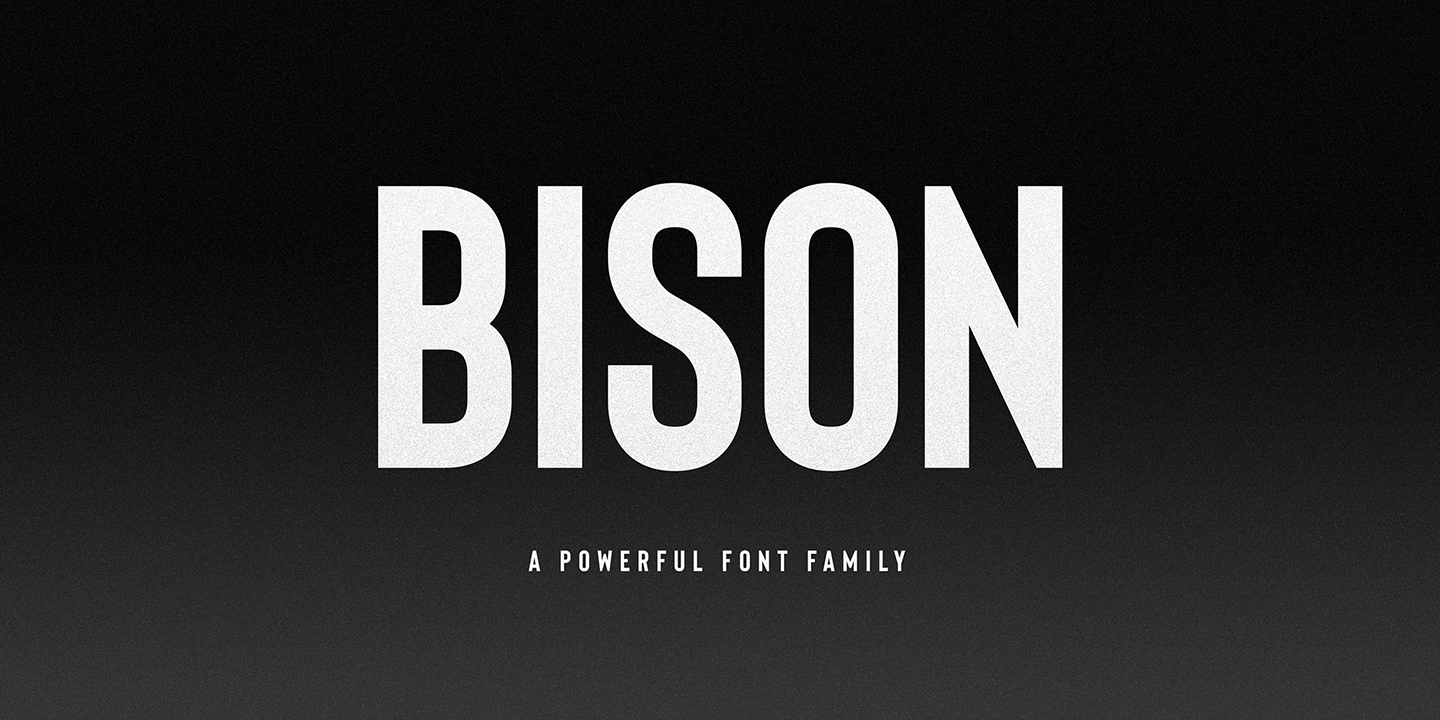 Font Bison